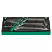 Набор ключей комбинированных GARWIN PRO 646073 (18 пр. 6-24 мм в ложементе EVA)